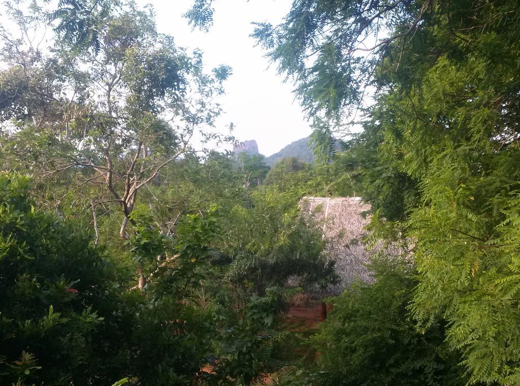 Kuwera Eco Lodge Sigiriya Bagian luar foto