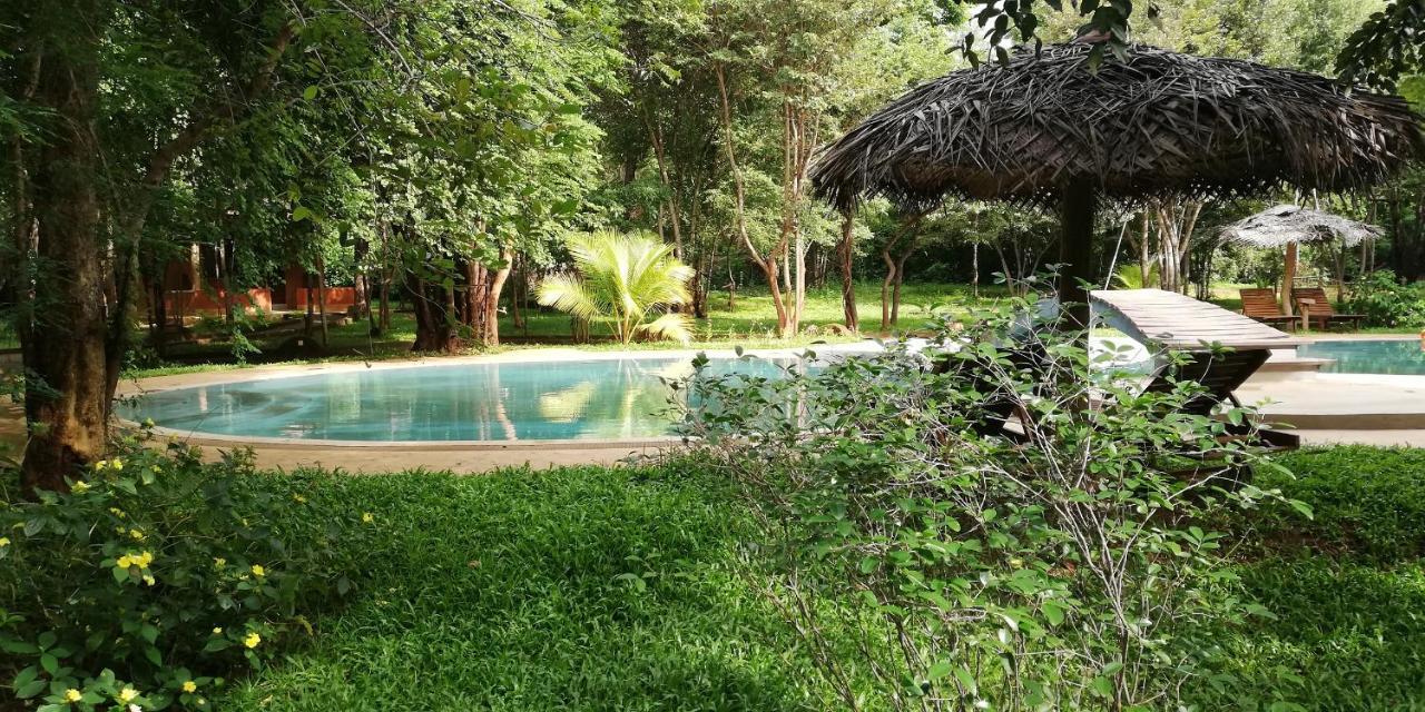 Kuwera Eco Lodge Sigiriya Bagian luar foto